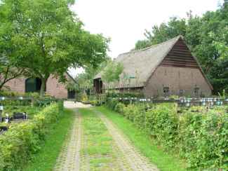 Vaste planten kwekerij | De Keltenhof